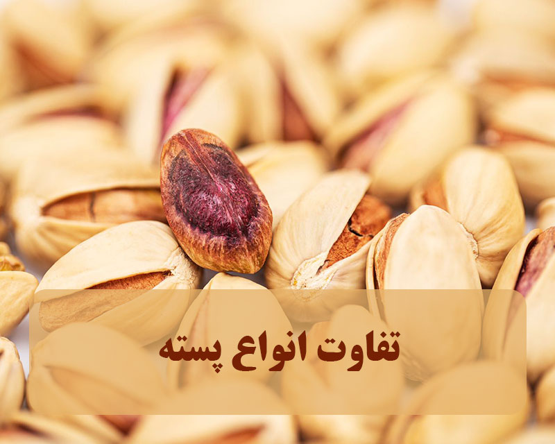 پسته تاج بیبی