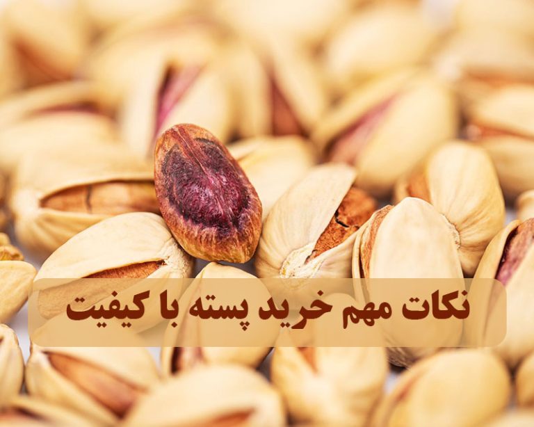 نکات مهم خرید پسته با کیفیت