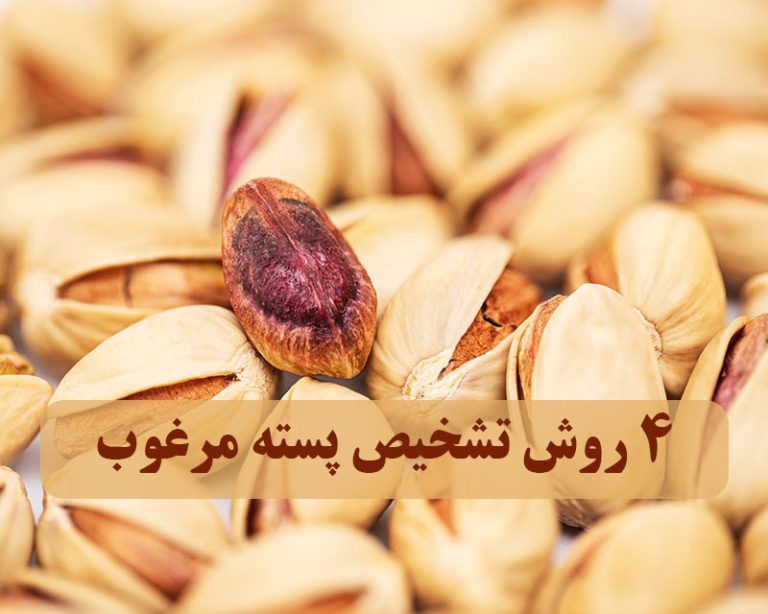 4 روش تشخیص پسته مرغوب