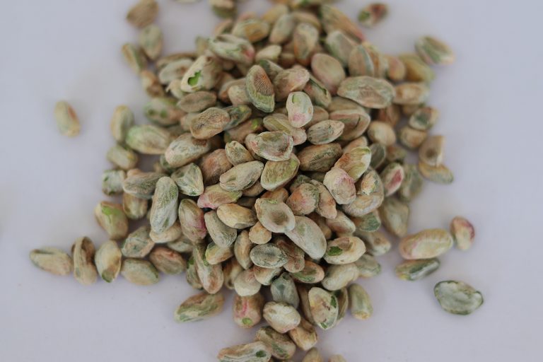 مغز پسته کالک سوپر تاج بی بی
